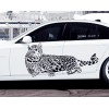 Puma Wall Sticker, Leopard Sticker